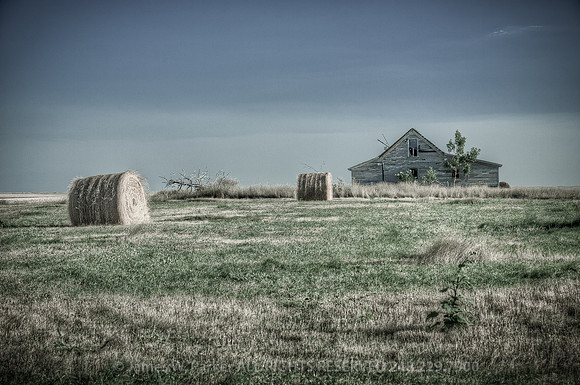 Greener Pastures