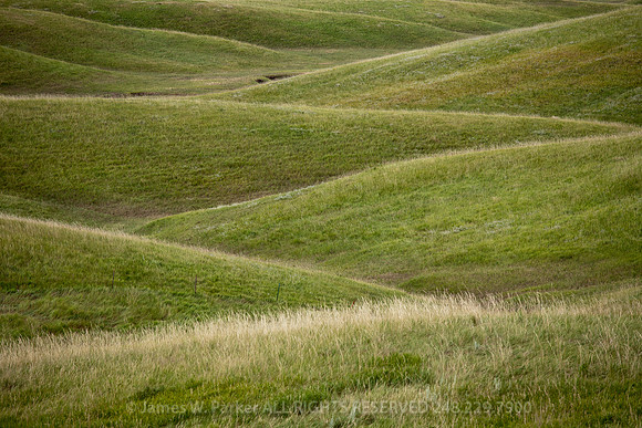 Hill and Swale