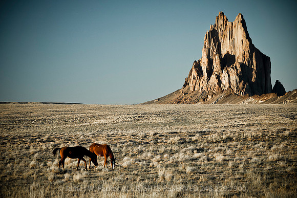 Shiprock Ponies
