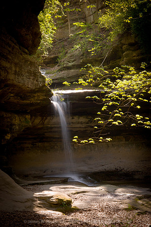 And the Light Shines Through