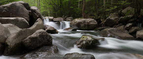 Joy of Spring Horizontal Pano