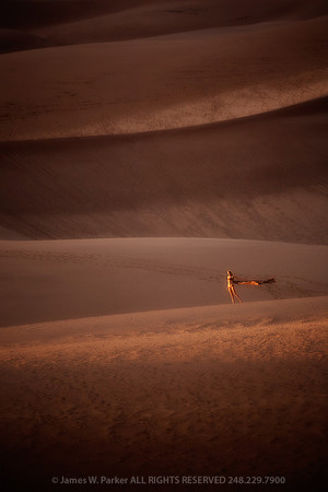 Dune Girl