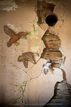 Fly Away Home