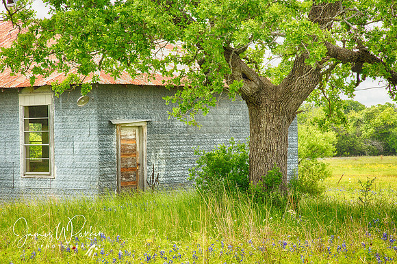 Sandy School