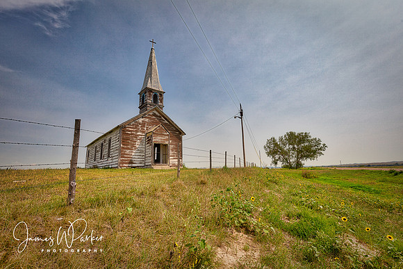 Flower of the Prairie