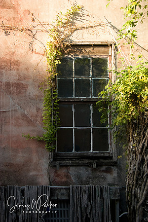 Later in the Afternoon