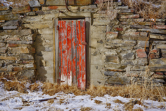 Red Door in Winter