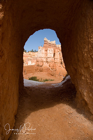 Bryce Canyon Reveal