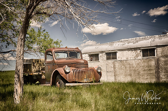 Home on the Range