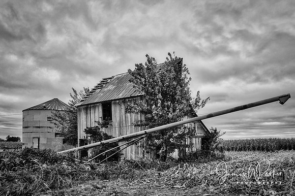 Barn and Grain Screw