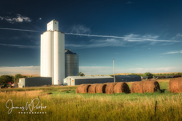 Amber Fields of Grain