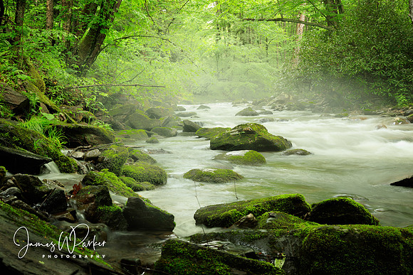 Let the River Run I