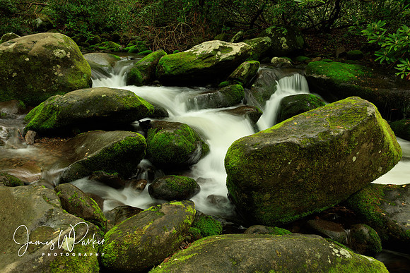 Big Mossy Rocks H