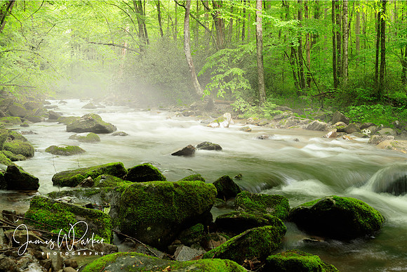Let the River Run II