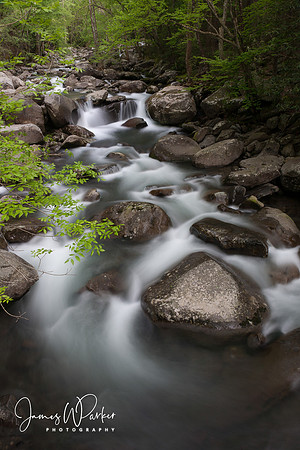 Spring Flow