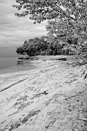 Mosquito Beach II