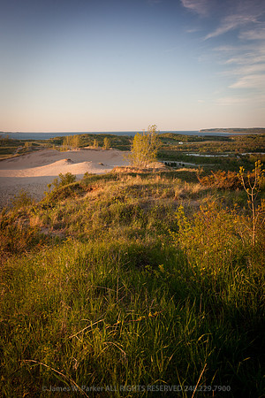 Dune Tops