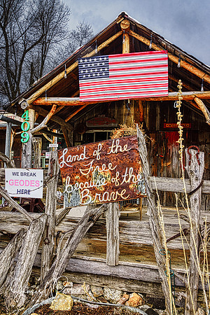 Land of the Free