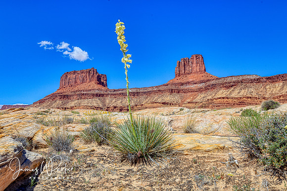 Buttes of the Cross
