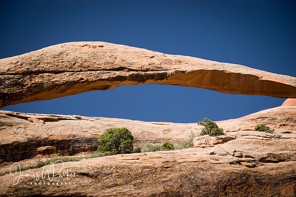 Landcape Arch Direct (color)