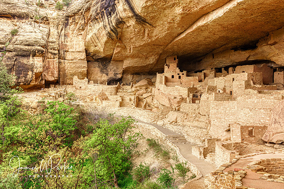 Cliff Palace