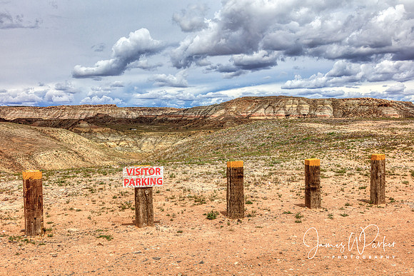 Visitor Parking