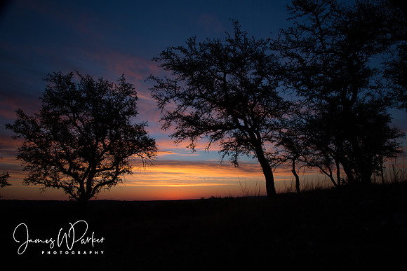 Texas Morning