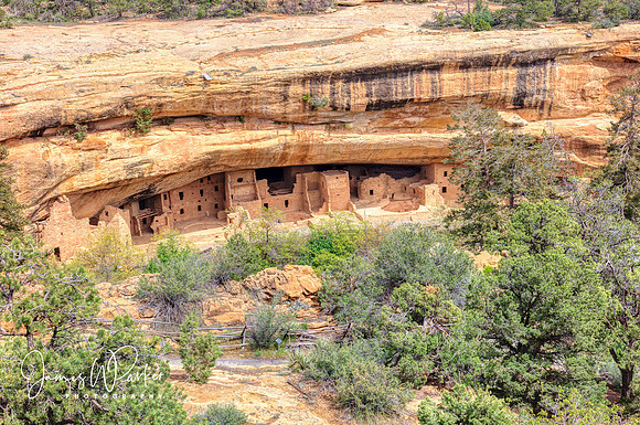 Spruce Tree House