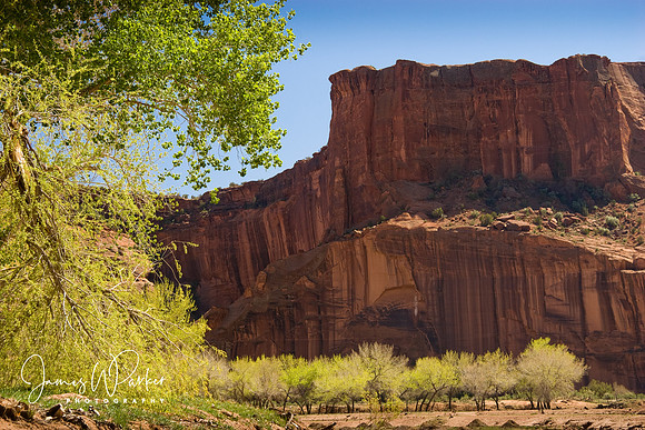 Canyon de Chelly