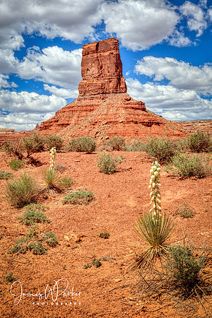 Pillar and Agave