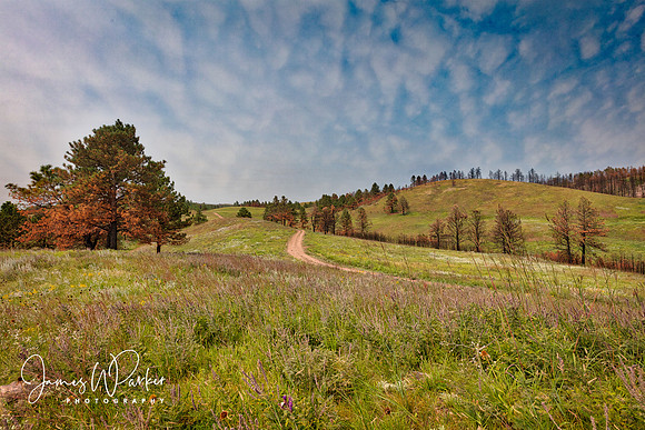 Robber's Roost Trail
