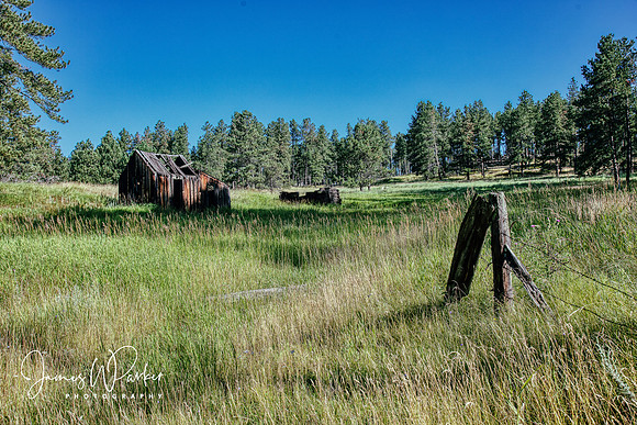 Miner's Cabin