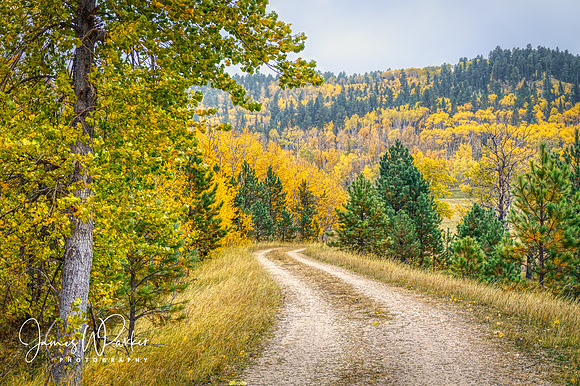 Before Snow Falls