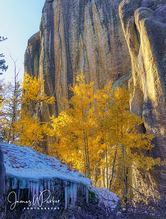 Fall Into Winter
