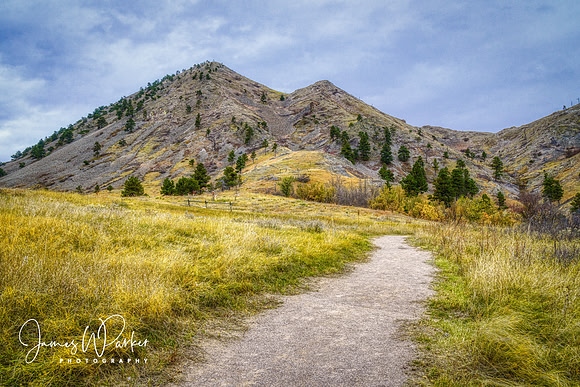 Bear Butte Path