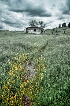 Wellspring
