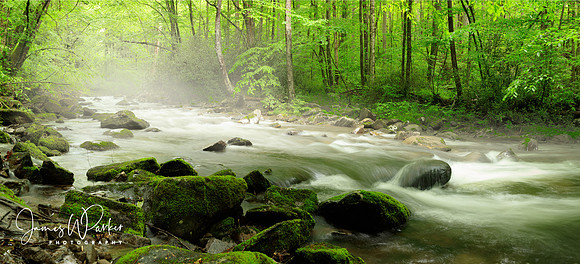 Let the River Run