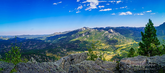 The Harney Range