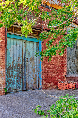 Back Door