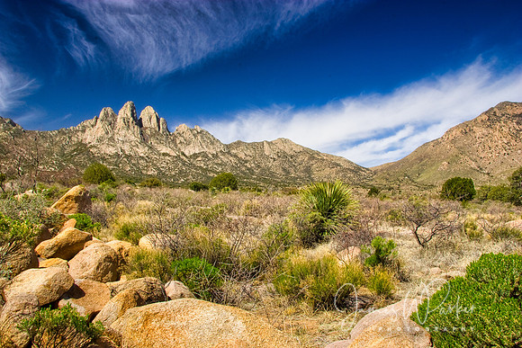 Organ Mountains