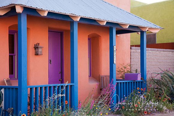 Tucson Barrio Study #1