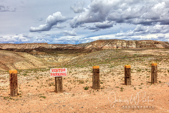 Visitor Parking