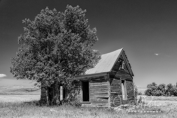 Hermosa Cabin