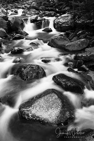 Spring Flow BW Vertical