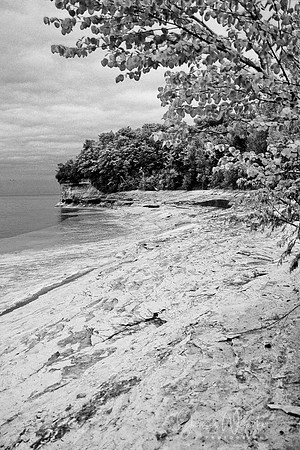 Mosquito Beach II