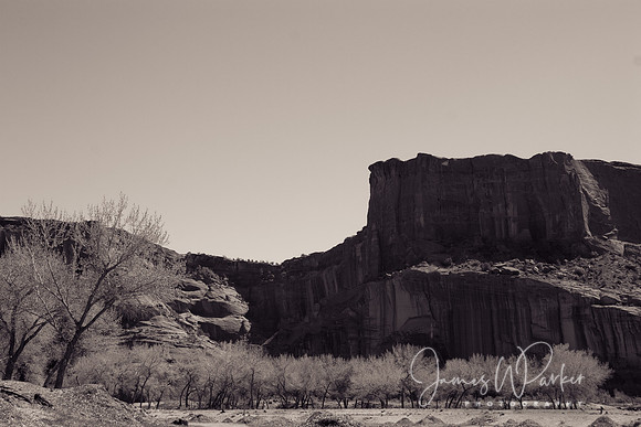 Orchard, Canyon de Chelly