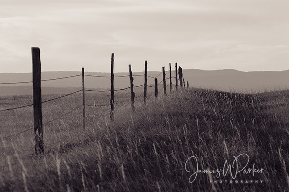 Fenceline