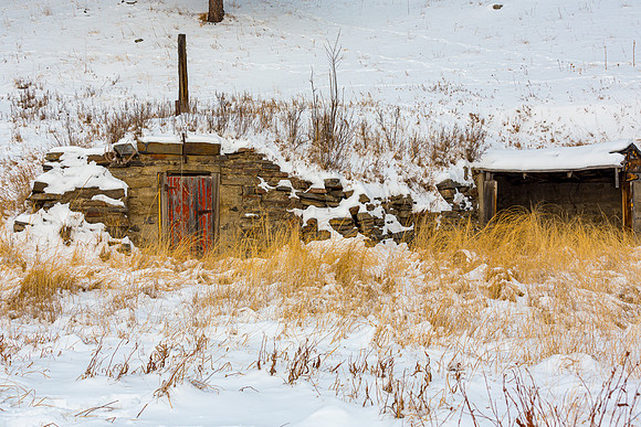 Red Door In Winter