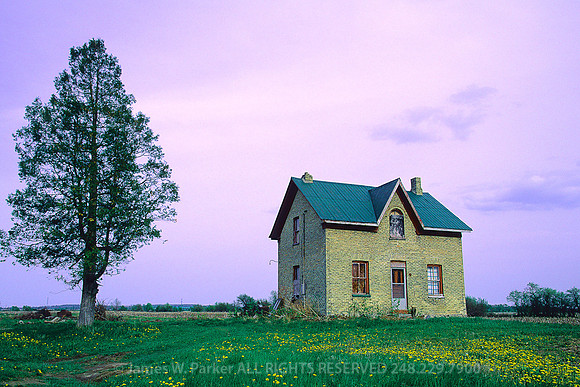 Good Bones