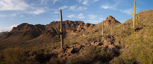 Gates Pass Panorama